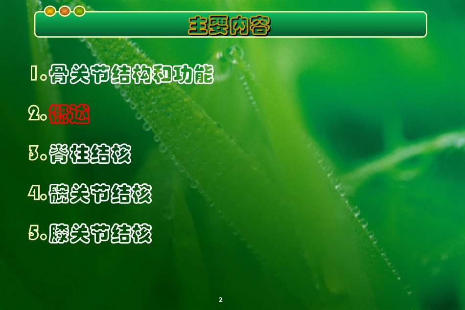 骨和关节结核课件_第2页