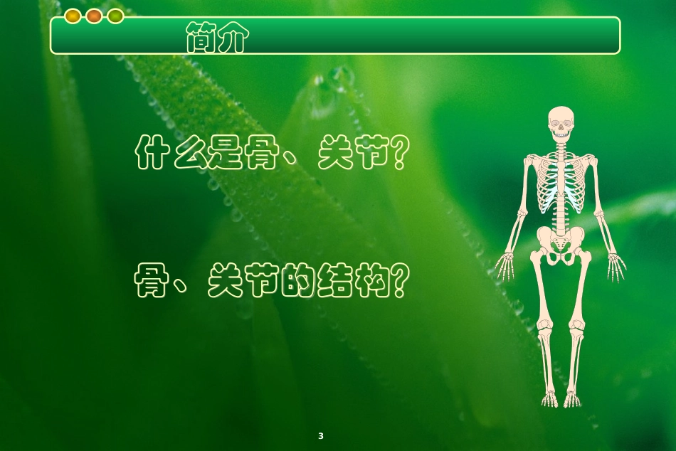 骨和关节结核课件_第3页