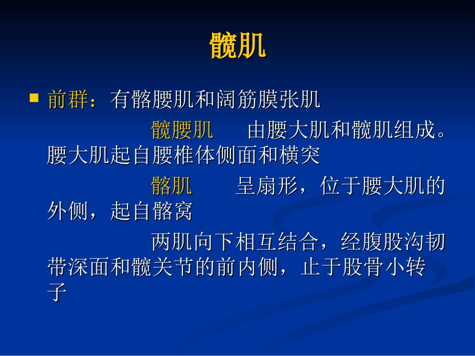 骨盆肌肉MRI解剖讲义_第3页