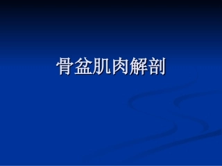 骨盆肌肉MRI解剖讲义