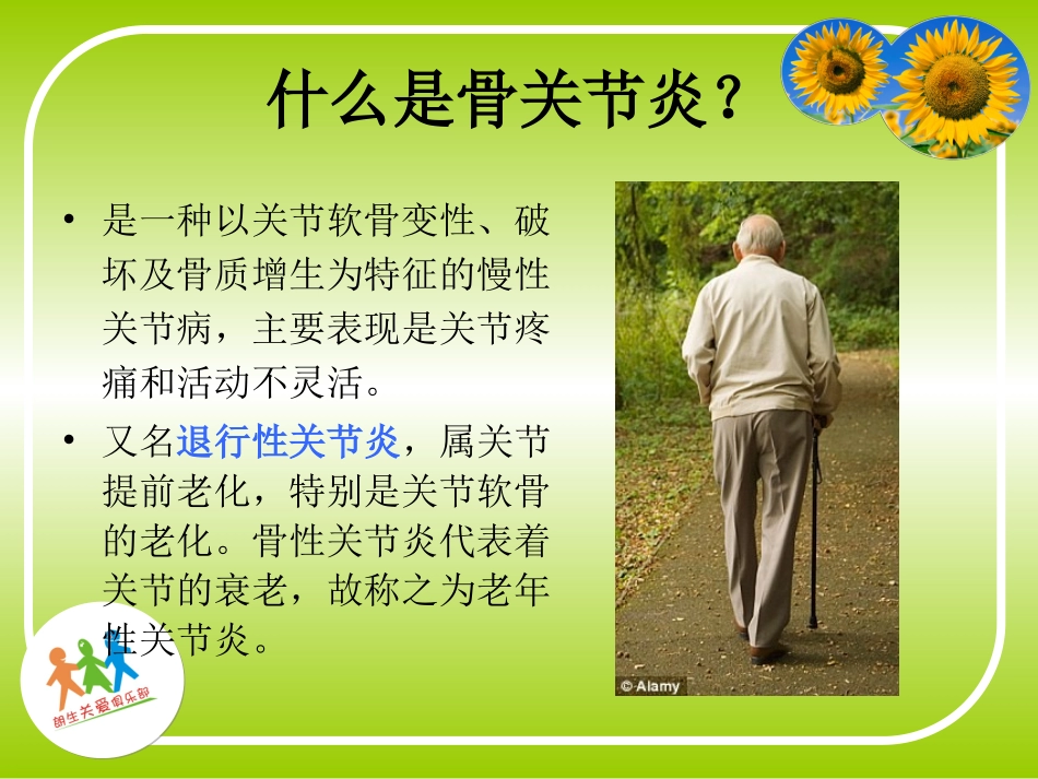 骨性关节炎的诊治和康复_第3页