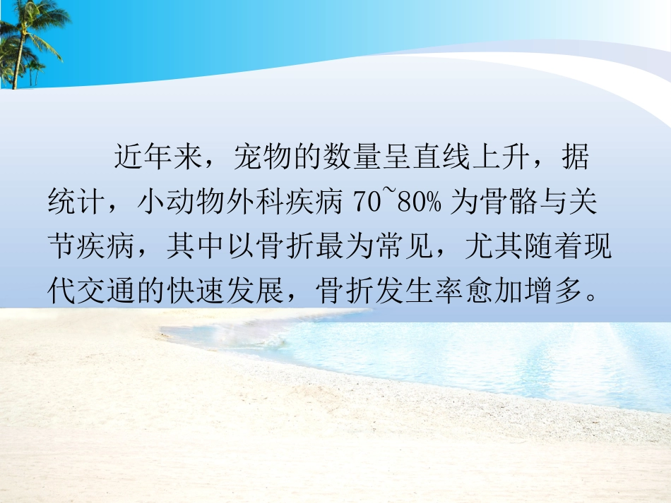 骨折的外固定_第2页