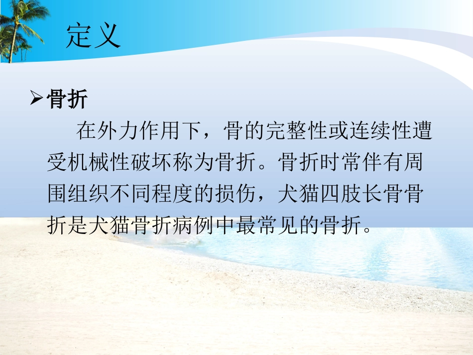 骨折的外固定_第3页