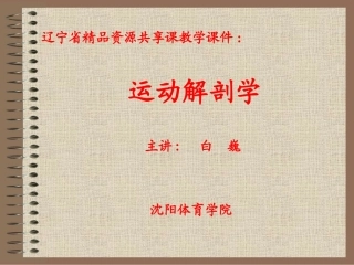 关节和肌肉的运动规律