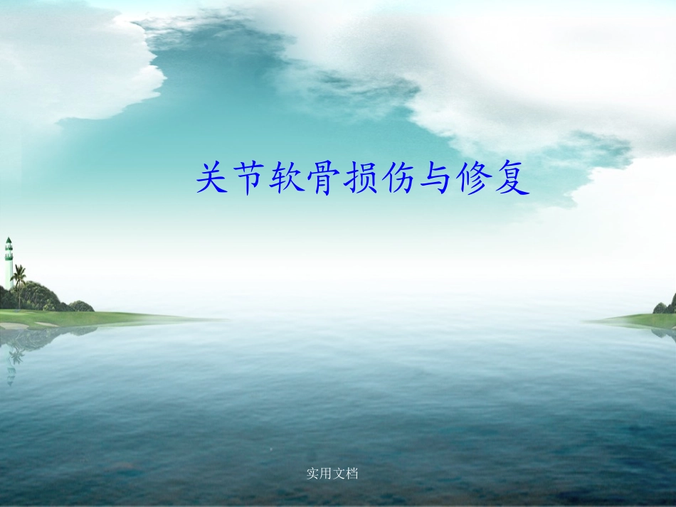 关节软骨损伤和修复多图_第1页