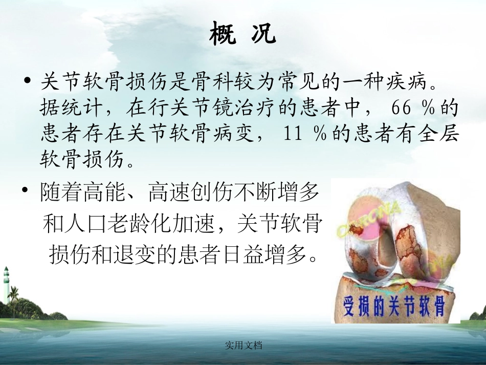 关节软骨损伤和修复多图_第2页