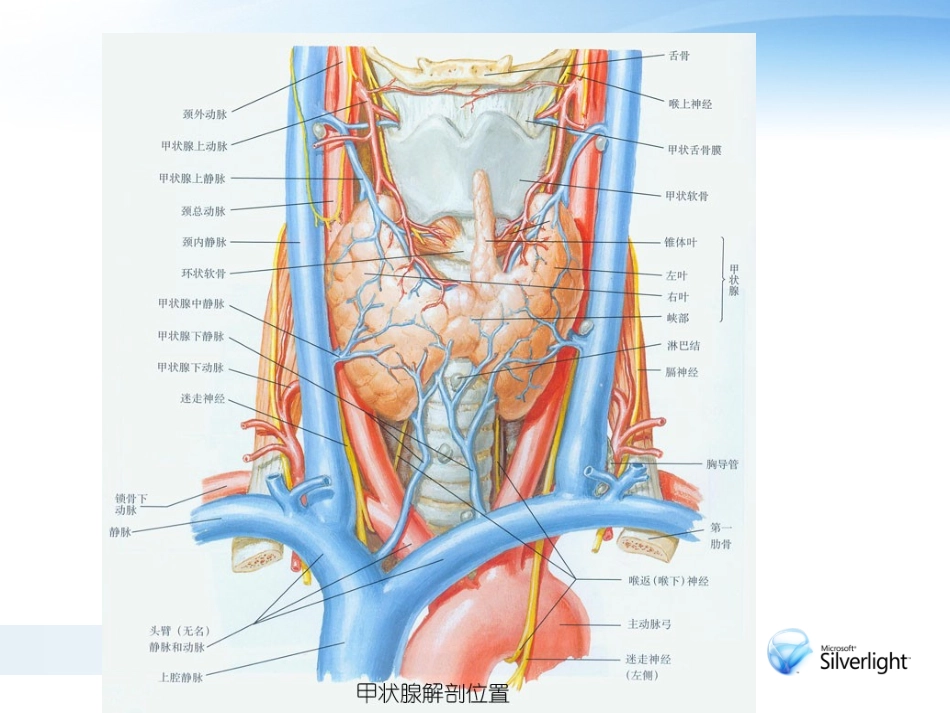关于甲状腺结节的规范化诊治_第2页