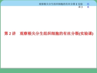 观察根尖分生组织细胞的有丝分裂实验课