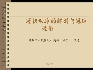 冠状动脉的解剖