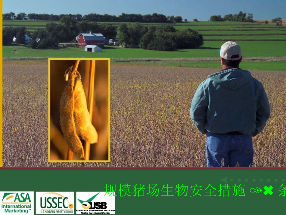 规模猪场生物安全措施_第1页