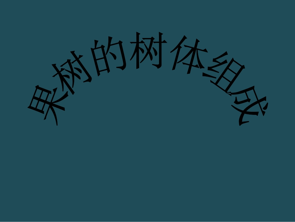 果树的树体组成_第1页