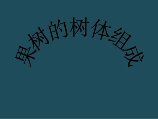 果树的树体组成