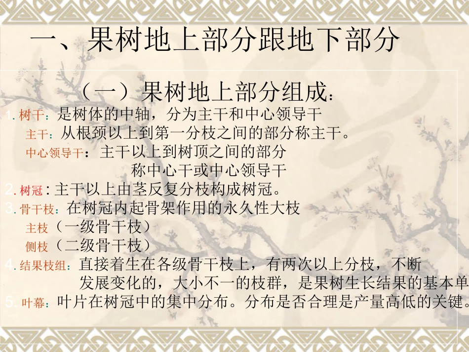 果树的树体组成分析解析_第2页