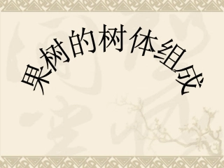 果树的树体组成分析解析