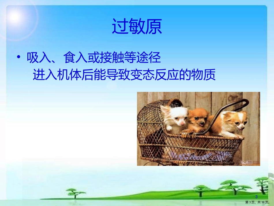 过敏原检测课件_第3页