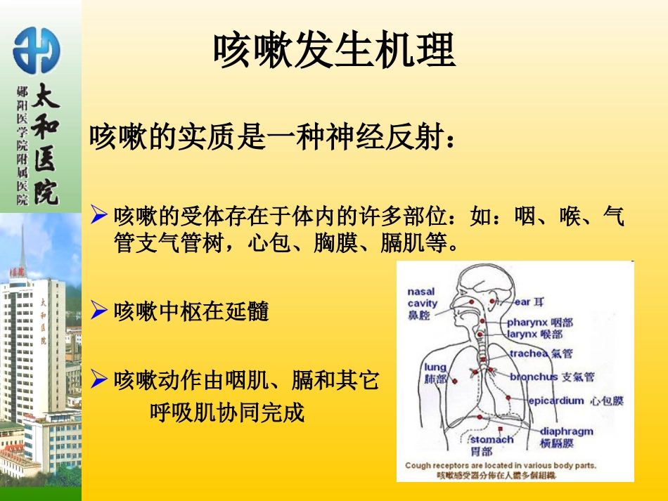 咳嗽咳痰的诊疗学描述_第3页