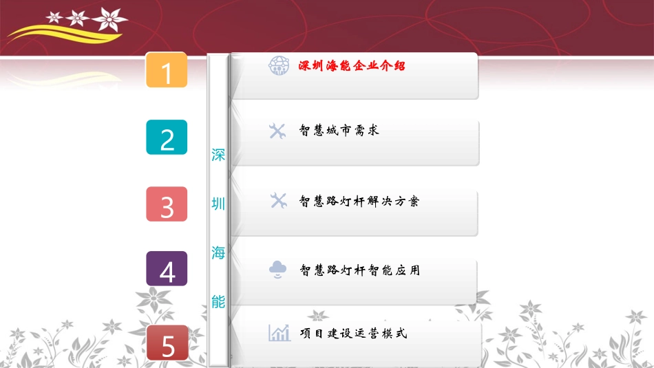 海能智慧路灯杆解决方案技术版茂名专用_第2页