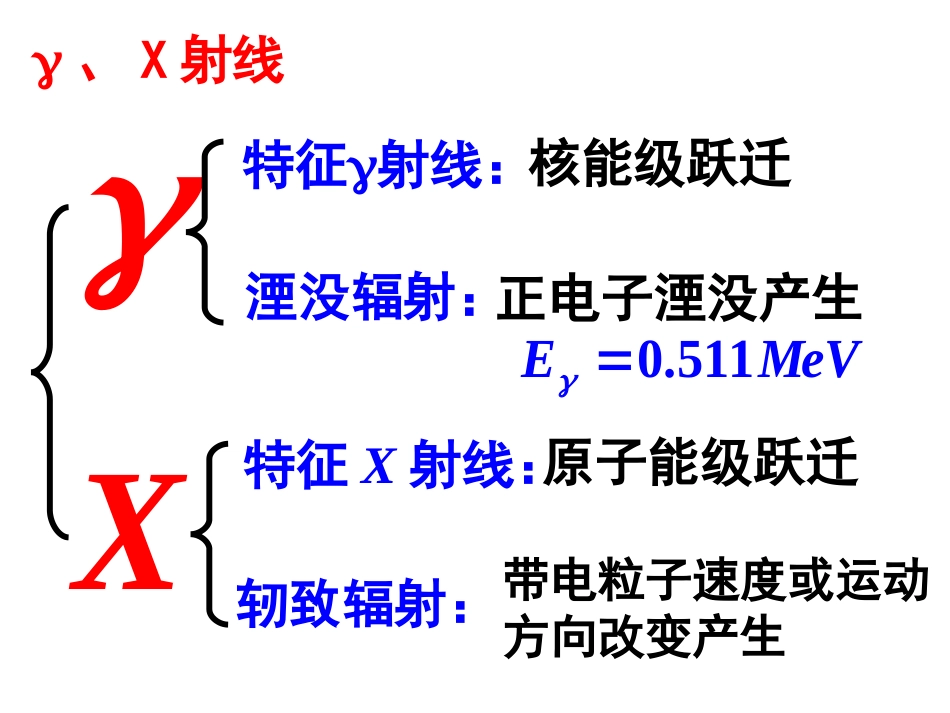 核辐射探测学_第3页
