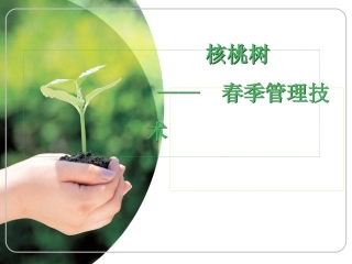 核桃种植技术培训精品