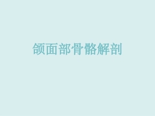 颌面部骨骼解剖