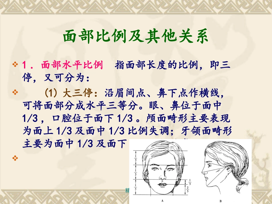 颌面部局部解剖_第3页