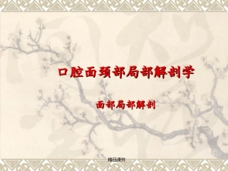 颌面部局部解剖
