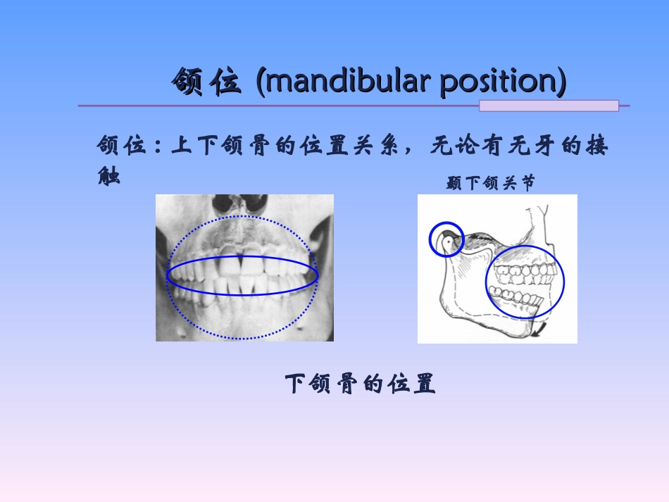 颌位和下颌运动第1-5节颌位_第2页