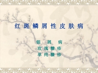 红斑鳞屑性皮肤病