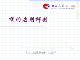 喉的应用解剖及生理学