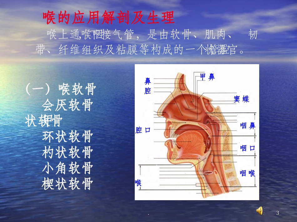 喉阻塞病人护理_第3页
