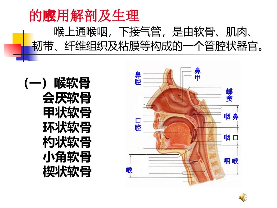 喉阻塞病人护理详解_第3页