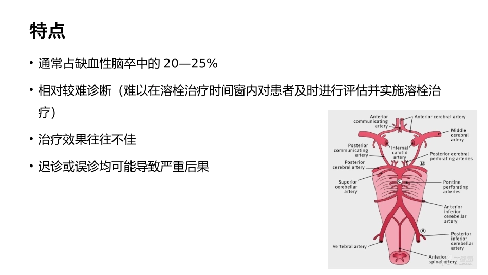 后循环卒中姚恺_第2页