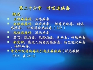 呼吸道病毒课件