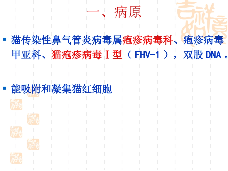呼吸道感染为主的疫病模块一猫病毒性鼻气管炎_第3页