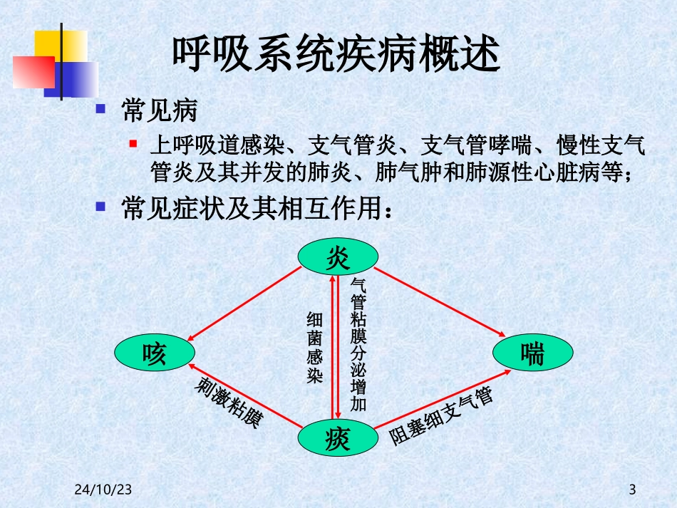 呼吸系统用药课件_第3页