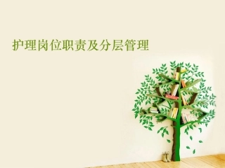 护理岗位职责及分层管理