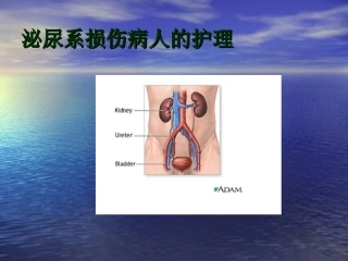 护理课件泌尿系损伤病人的护理
