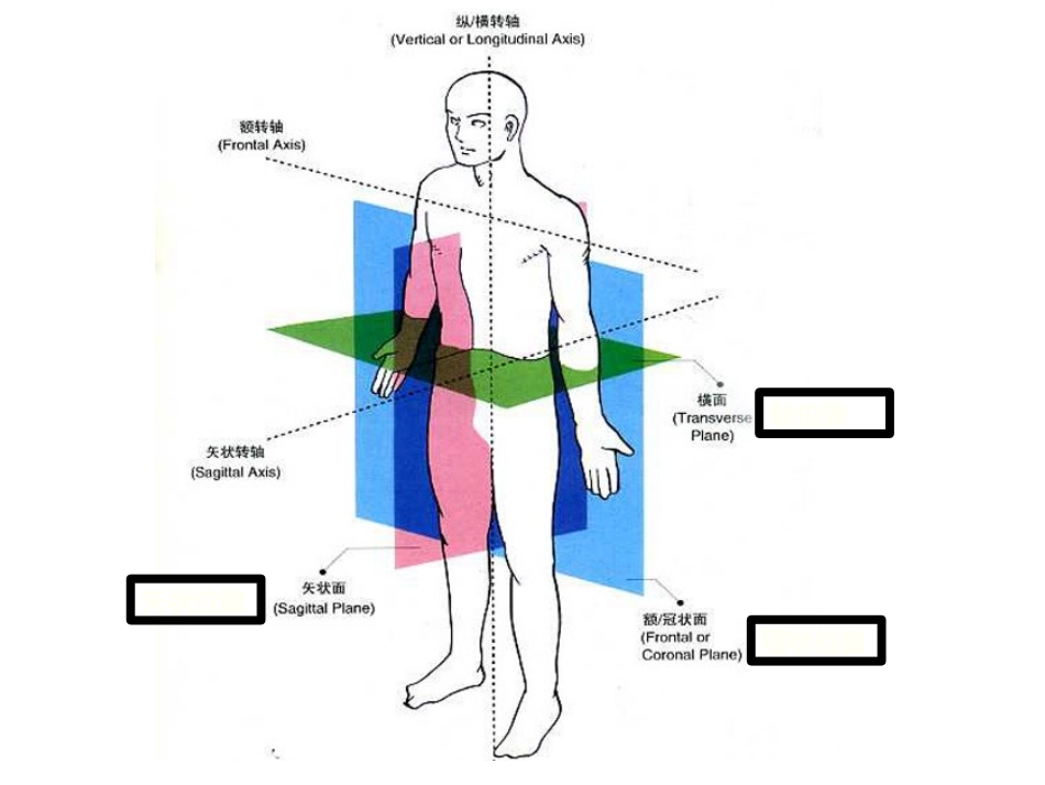 踝关节MR断层解剖课件_第3页