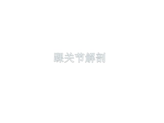 踝关节磁共振解剖