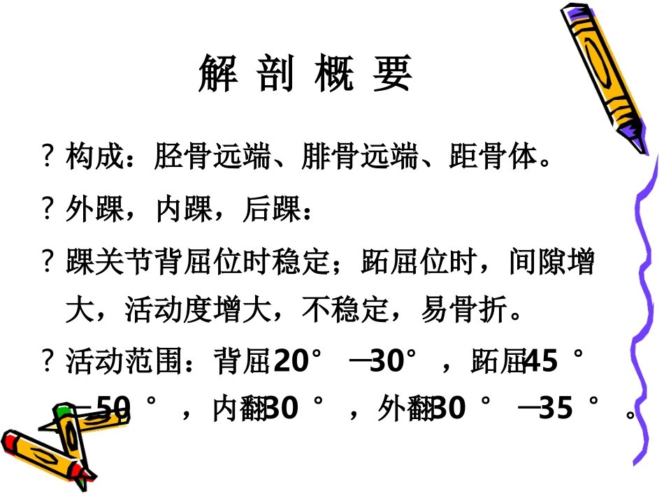 踝关节骨折病人的护理业务学习最新精选课件_第2页