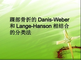 踝关节骨折的分型