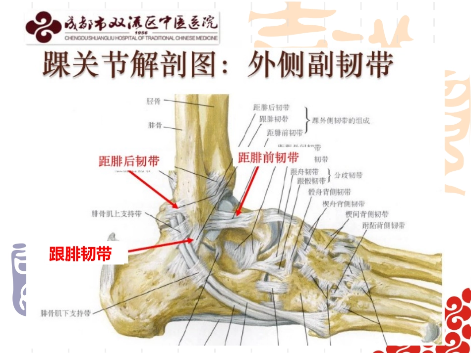 踝关节骨折的分型周勇_第2页