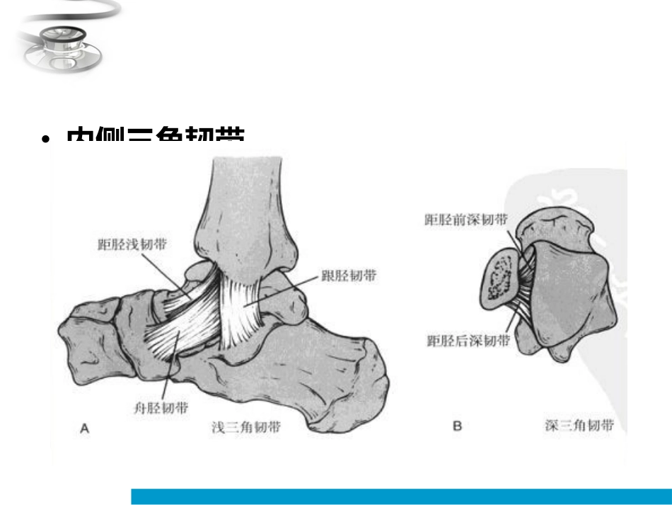 踝关节骨折分型_第2页