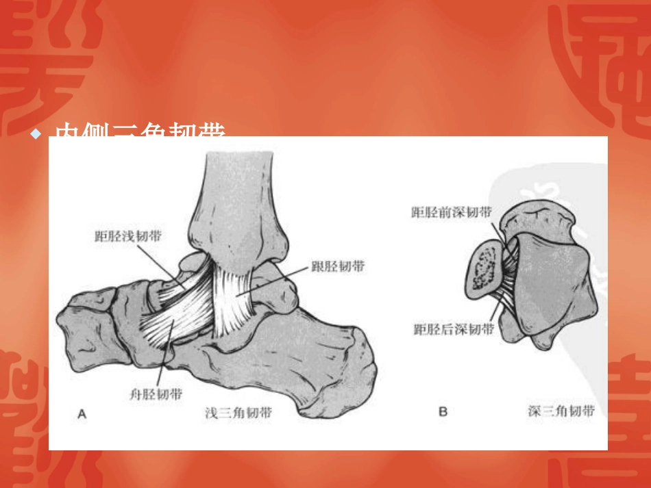 踝关节骨折分型课件_第2页