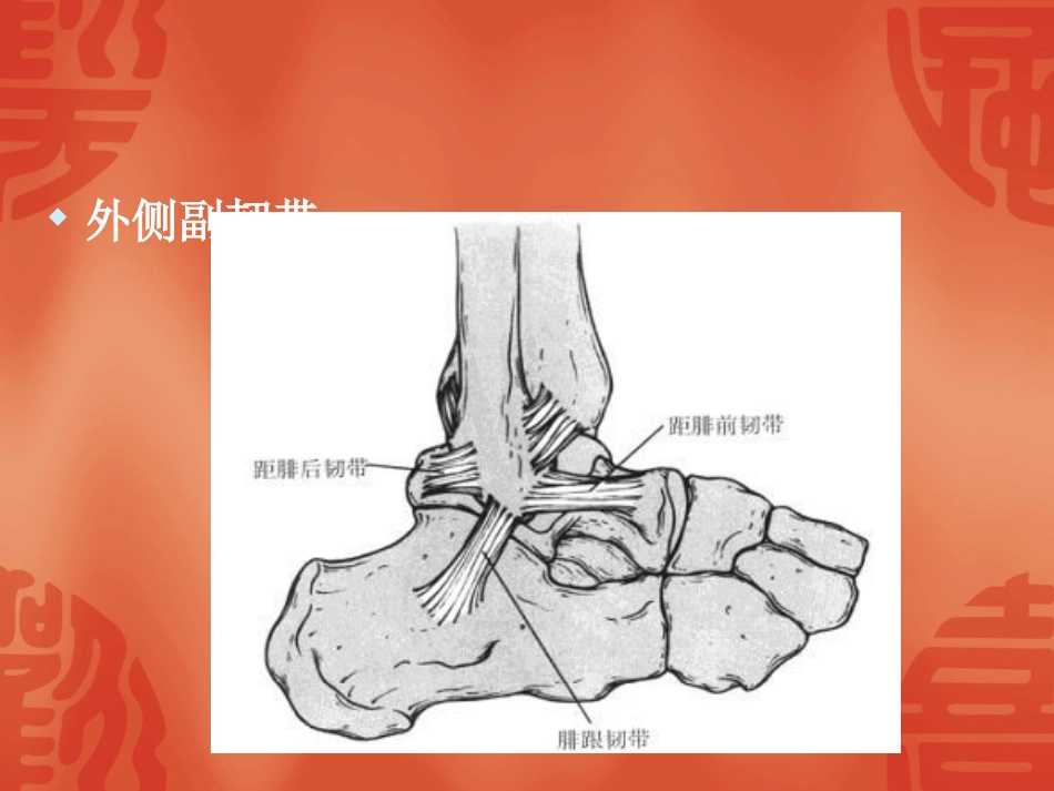 踝关节骨折分型课件_第3页