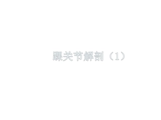 踝关节解剖基础