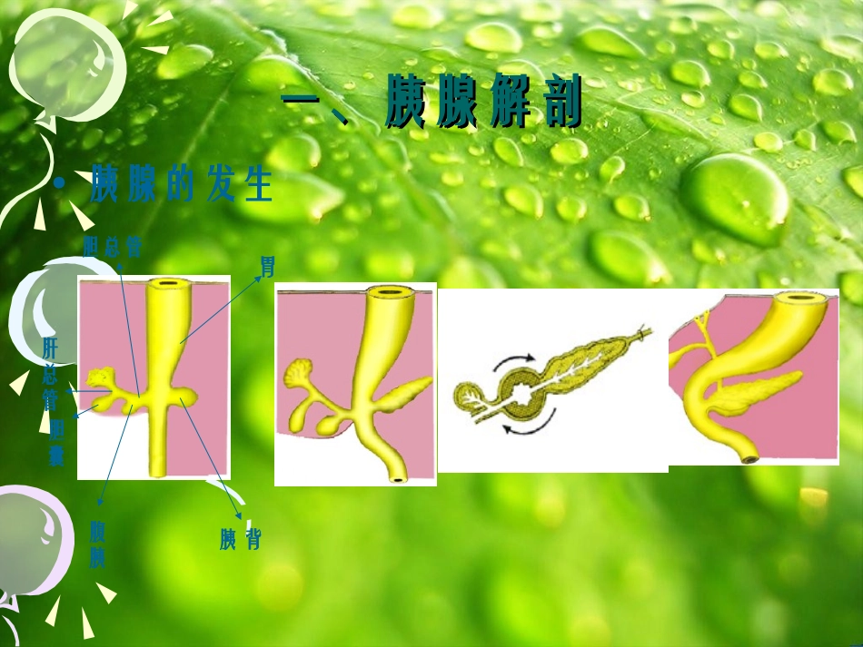 环状胰腺的外科治疗和护理_第2页