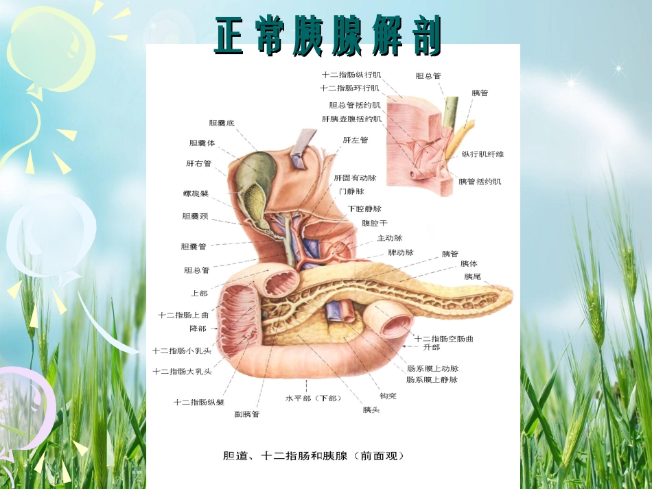 环状胰腺的外科治疗和护理_第3页