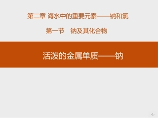 活泼的金属单质钠课件