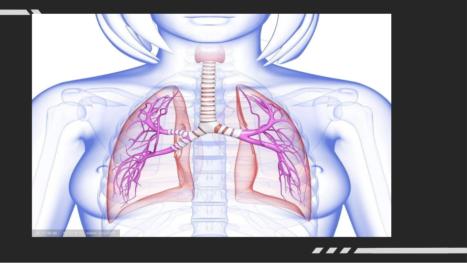 机械通气的临床应用_第2页